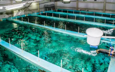 Aquaculture system